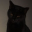 Bruce is my name