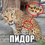 Я РАБОТАЛ И КОНЧА