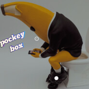 pockeybox