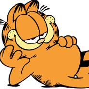 gatinho