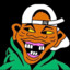 nPUNGA