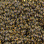 Ten-Thousand Bees