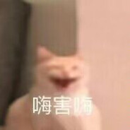 快去看命运石之门