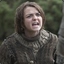 arya stark