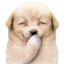 Me not call
