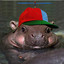 Hippo Jr.