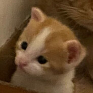 小故事大王，扣1说书