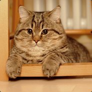 еееее ВАААААААК