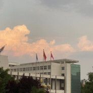 亿个达不刘  1106