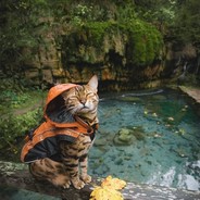 Енотик Полоскун♥