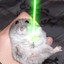 Protected Hamster In Space♞