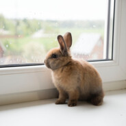 osHo- - steam id 76561199134444311