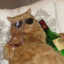 El Gato Benzema