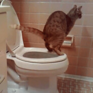 вонька_таптуна