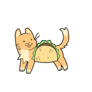 Taco_cat