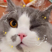 我有医保你先上