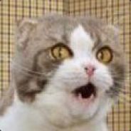 男工大东苑336第一臭流氓