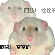 XG · 菜鸟新手请多指教