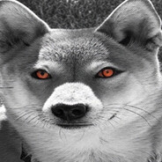 sub avatar