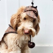 DogHolmes