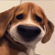 碳酸饮料说拜拜