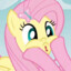Fluttershy