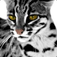 dula - steam id 76561197971683665