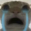 Hageemy_Nonberital