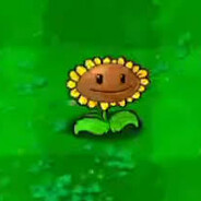 Loser Avatar