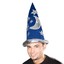 blue pointy hat