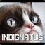 Indignatus