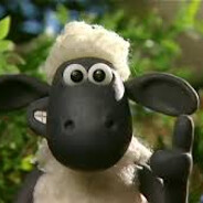 Shaun