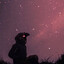 Rain_The_Pilot