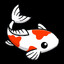Koi