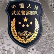 只恨自己胜过你