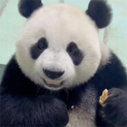 多个老公多条路