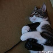 KevCy - steam id 76561198024495316