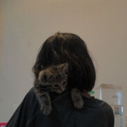 Wimoo