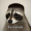 FERNANDO