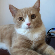 看到哨兵请标记谢谢