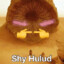 shy hulud