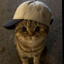 アカシャ