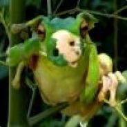 flatty - steam id 76561197962713725