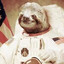 NeilArmSloth