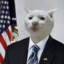 president cat