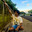 WanderinMav
