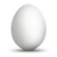 Hard-shelled Egg