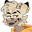 TapfererToaster avatar