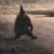 Gnome Truther