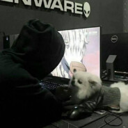 𝑪𝒂𝒑𝒕𝒖𝒓𝒆丶